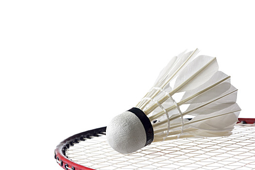 球比赛中 球比赛中